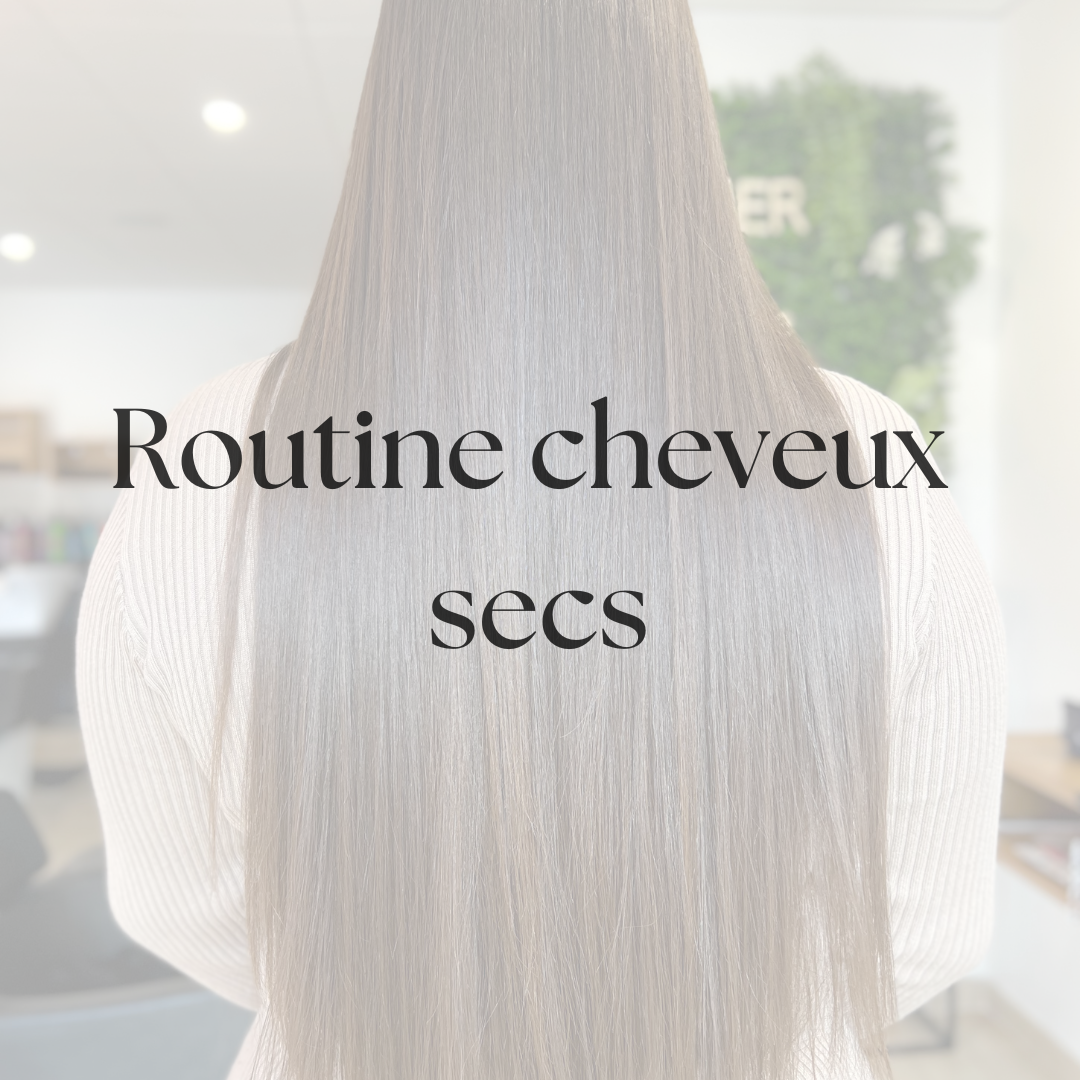 6 Routine Cheveux Secs